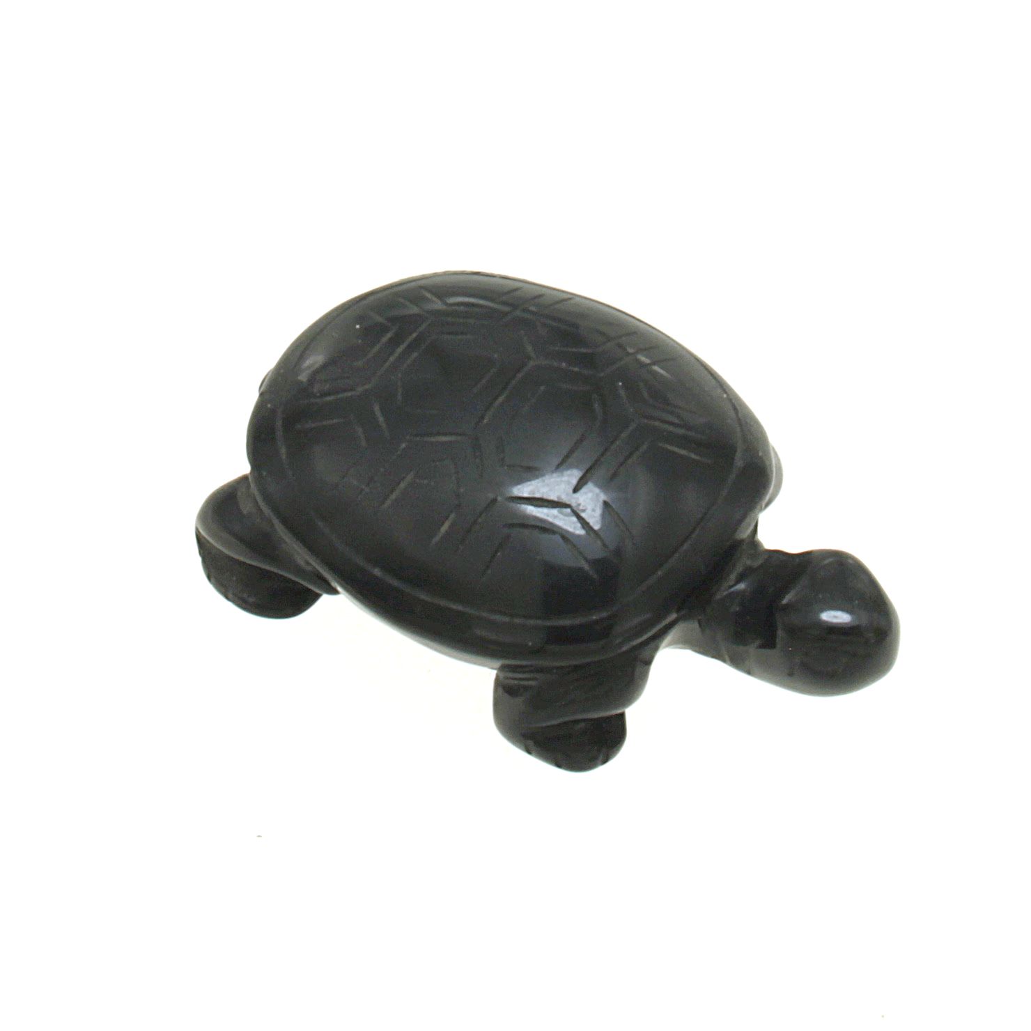 Tartaruga di onice nero