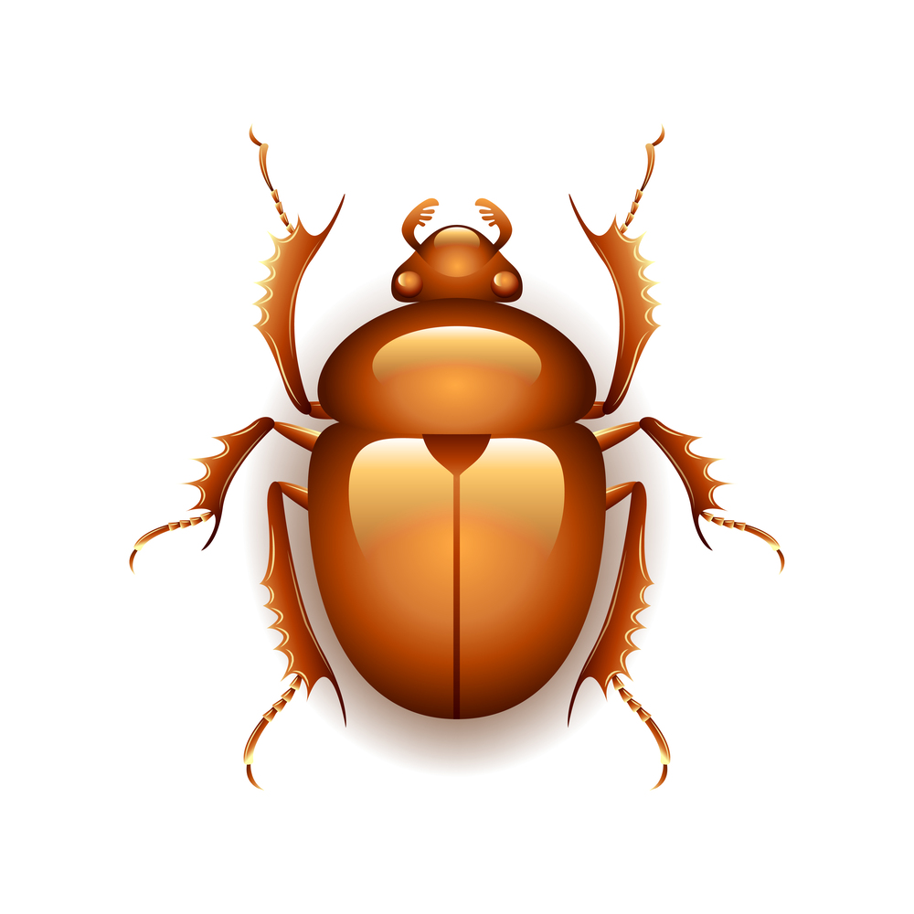 scarabeo dorato simbolo